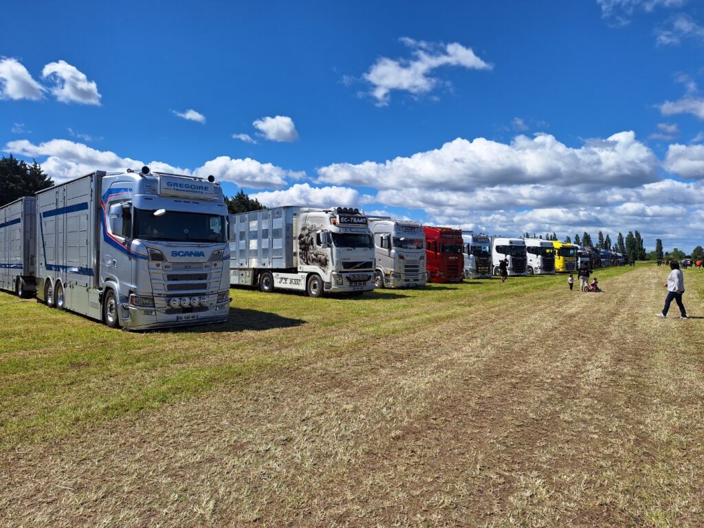 Camions Scania au Livestock Trucks Show