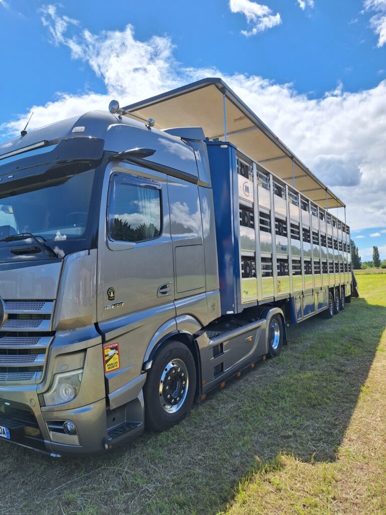 Camions Scania au Livestock Trucks Show